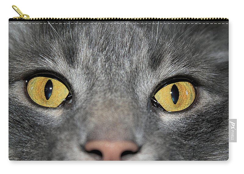 Cat Zip Pouch featuring the photograph The Look by Shane Bechler