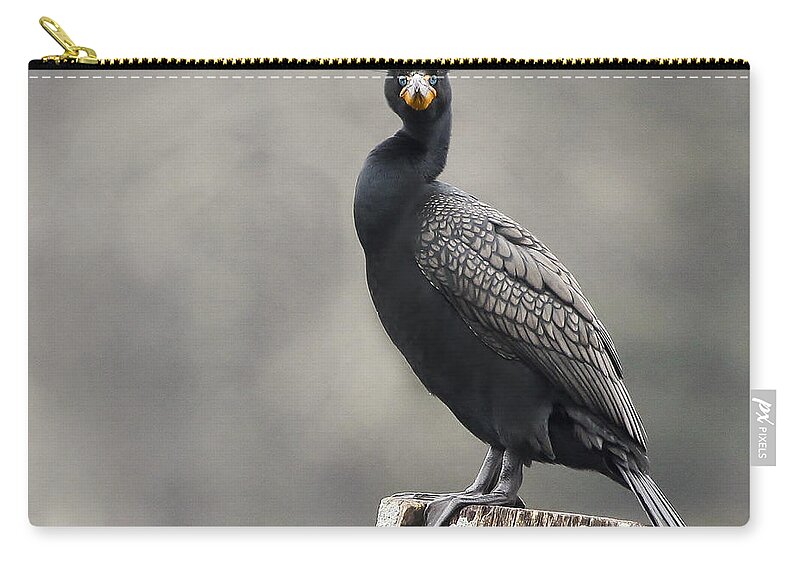 Maine Zip Pouch featuring the photograph The Look by Karin Pinkham