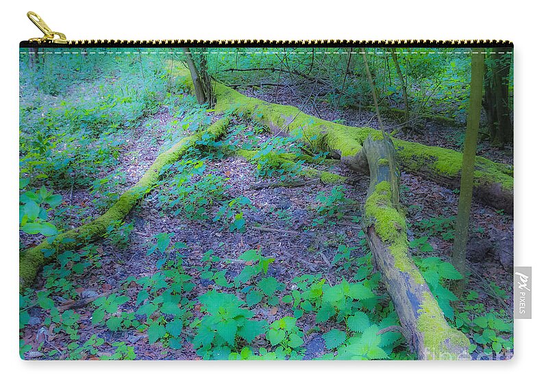 The Magic Forest Zip Pouch featuring the photograph The Magic Forest-12 by Casper Cammeraat