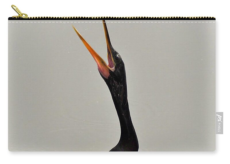 Anhinga Zip Pouch featuring the photograph The Master Fisher by Kathy Baccari