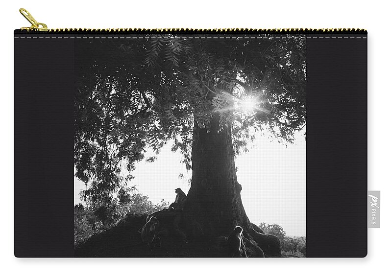  Zip Pouch featuring the photograph The Monkey Tree by Aleck Cartwright