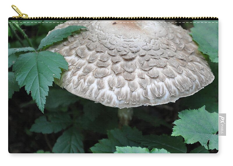 Mushroom Zip Pouch featuring the photograph The Mushroom by Kirt Tisdale