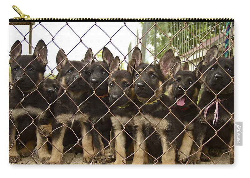 Gsd Zip Pouch featuring the photograph The N Litter by John Babis