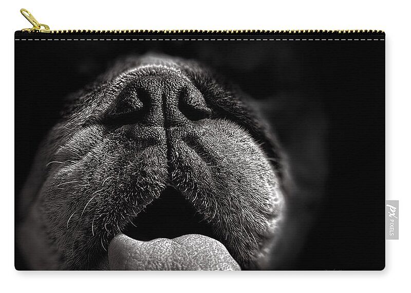 Dog Zip Pouch featuring the photograph The Nose Knows by Bob Orsillo