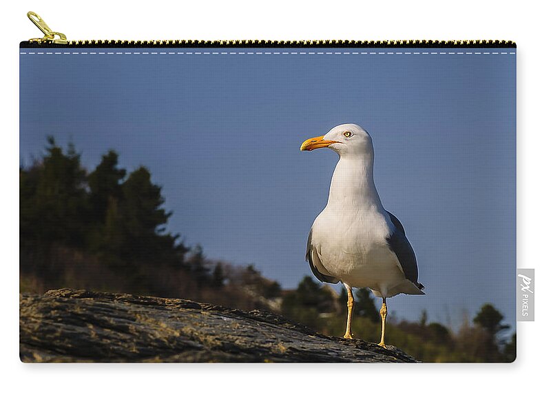 2010 Zip Pouch featuring the photograph The Observer by Mark Myhaver