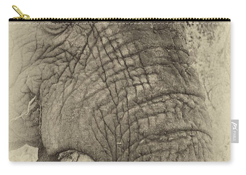 Old Zip Pouch featuring the photograph The Old Elephant Bull by Douglas Barnard
