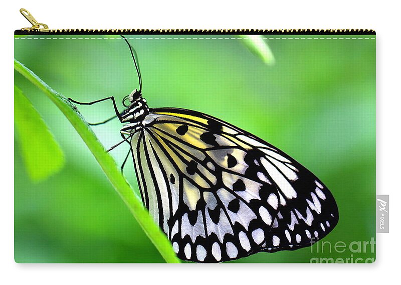 Butterfly Carry-all Pouch featuring the photograph The Paper Kite or Rice Paper or Large Tree Nymph butterfly also known as Idea leuconoe by Amanda Mohler