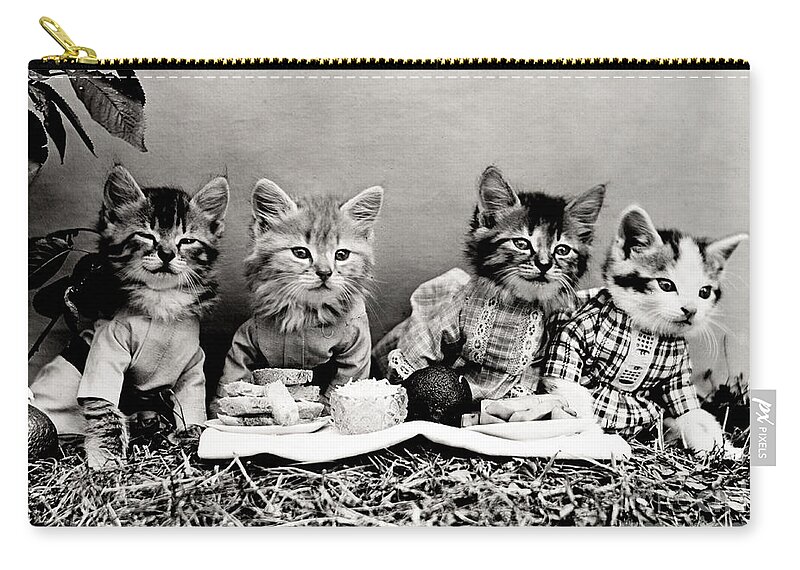 Animal Portrait Zip Pouch featuring the photograph The Picnic in 1914 by Science Source