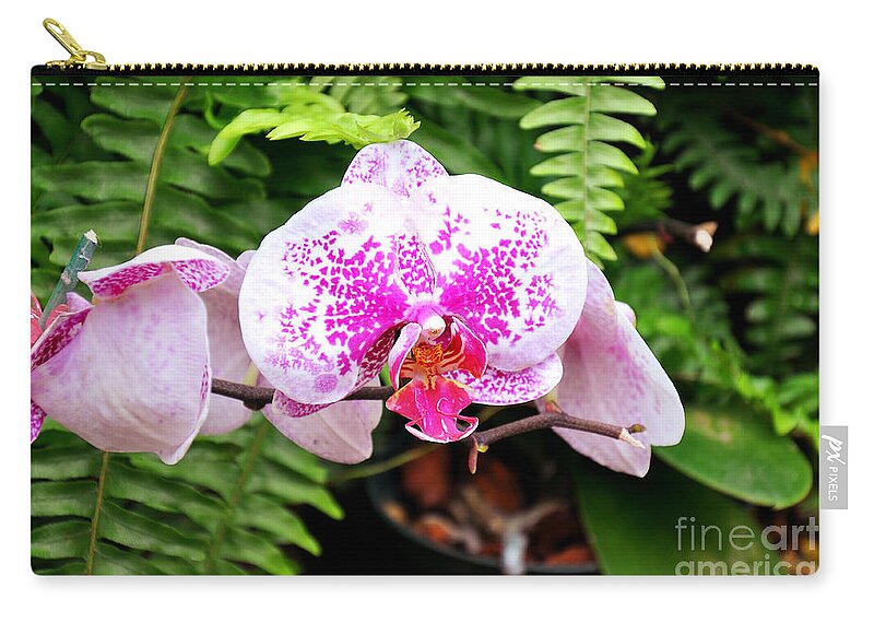 Orchid Zip Pouch featuring the photograph The Pink Puffy Orchid by Andee Design