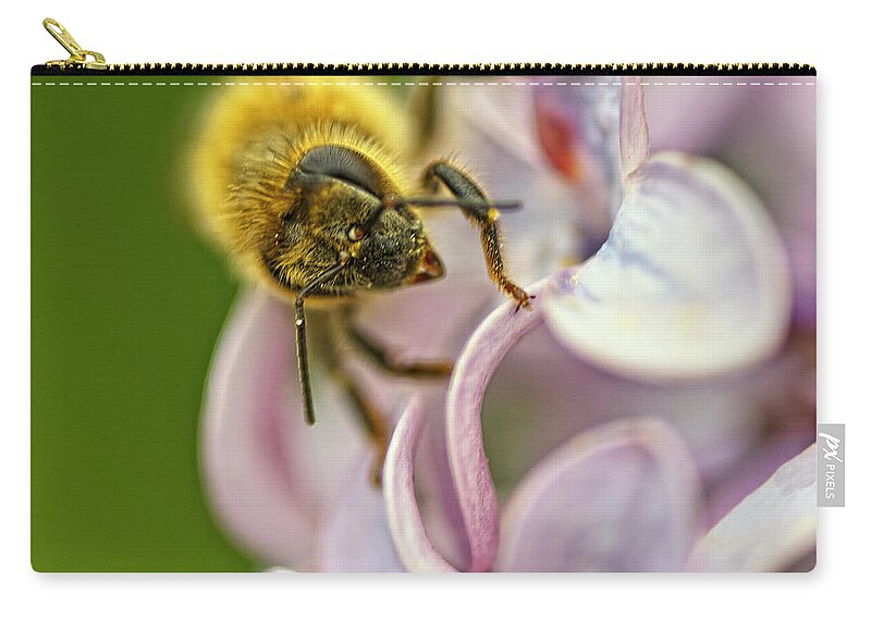 Bee Zip Pouch featuring the photograph The Pollinator by Sue Capuano