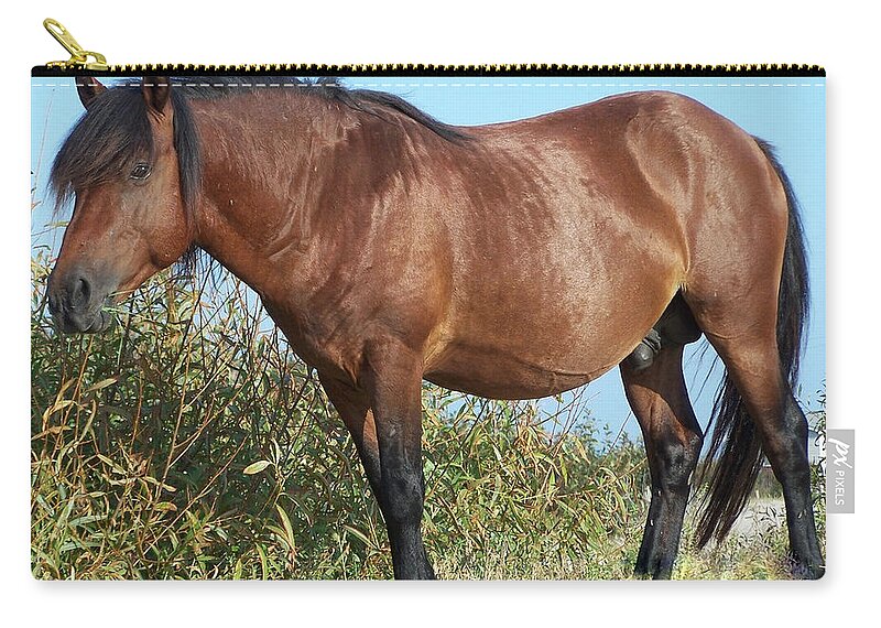 Wild Spanish Mustang Zip Pouch featuring the photograph The Ruler of the Wild by Kim Galluzzo