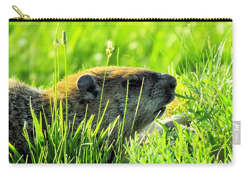 Groundhog Zip Pouch featuring the photograph The Sound Of Silence by Robyn King