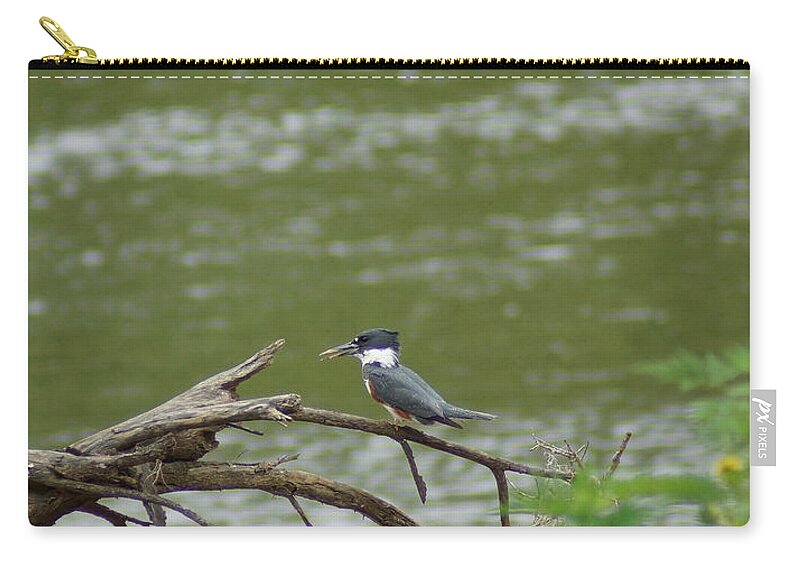 Digital Photography Zip Pouch featuring the photograph The Southern Kingfisher side view by Kim Pate