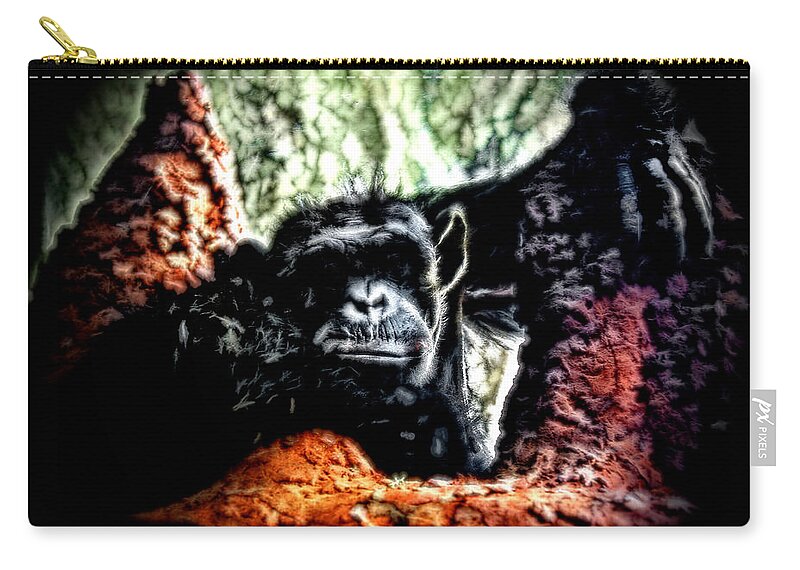 Zoo Zip Pouch featuring the photograph The Thinker by Lucy VanSwearingen