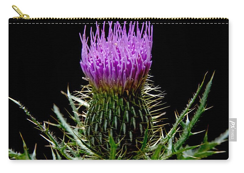 The Thistle Zip Pouch featuring the photograph The Thistle by Jemmy Archer