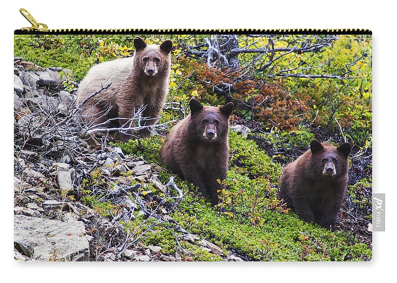 Glacier National Park Zip Pouch featuring the photograph The Three Amigos by Mark Kiver