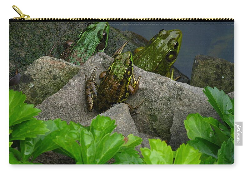 The Three Amigos Zip Pouch featuring the photograph The Three Amigos by Raymond Salani III