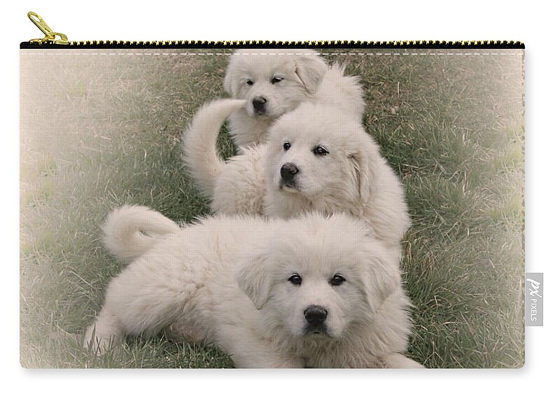 Dogs Zip Pouch featuring the photograph The Three by Bonnie Willis