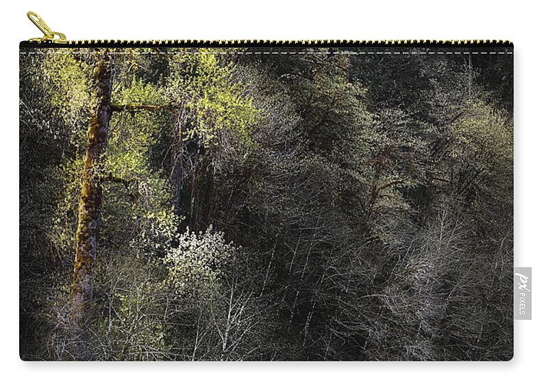Tree Zip Pouch featuring the photograph The Tree Across the River by Belinda Greb