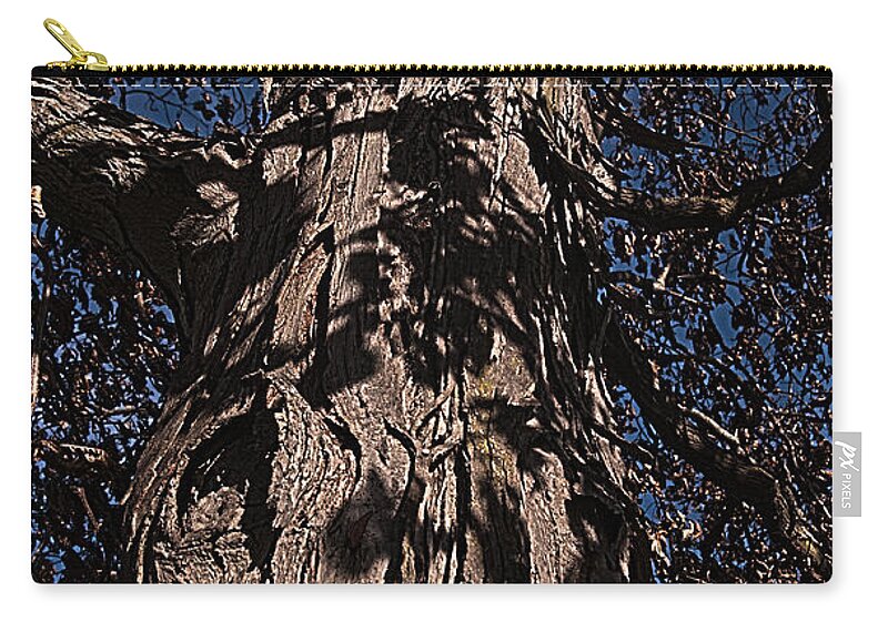 Tree Zip Pouch featuring the photograph The Tree of Life by Deborah Klubertanz