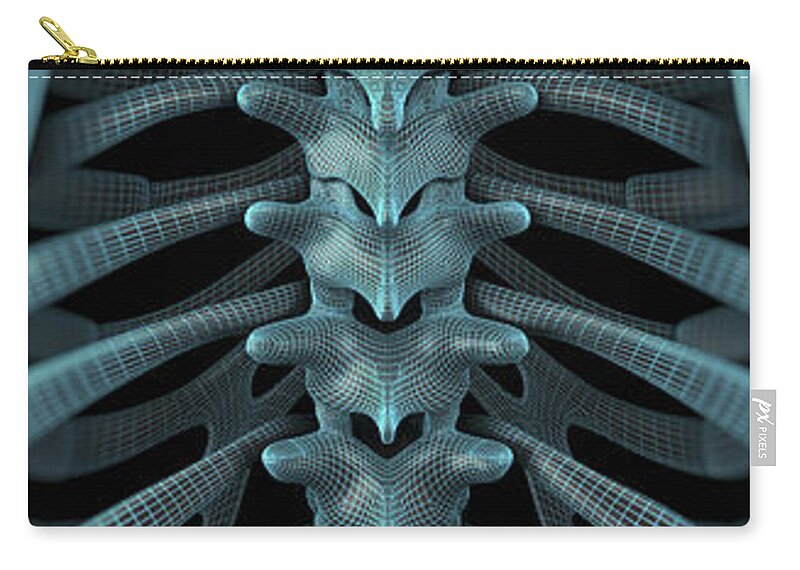 Biomedical Illustration Zip Pouch featuring the photograph The Vertebral Column Wireframe by Science Picture Co