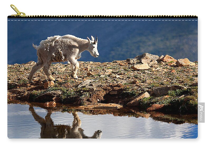 Mountain Goats Zip Pouch featuring the photograph The Walk-About by Jim Garrison