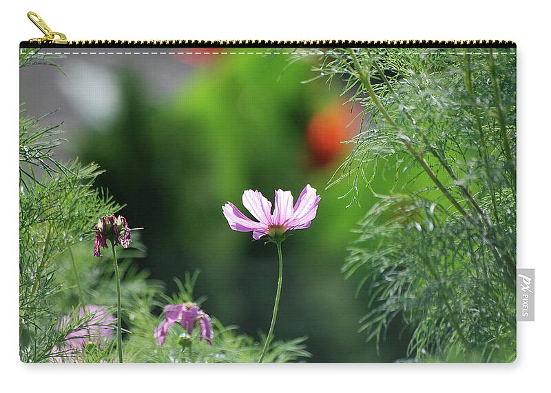 Flowers Zip Pouch featuring the photograph The Warmth of Summer by Thomas Woolworth