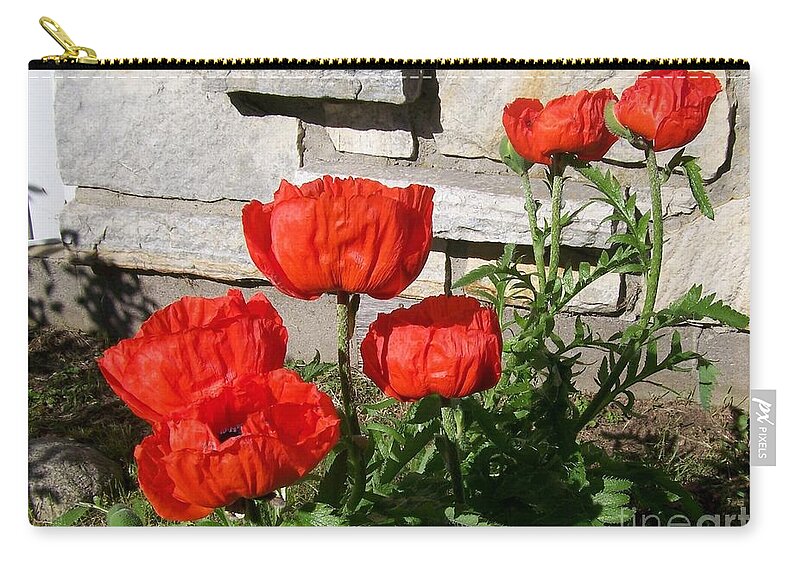 Poppies Zip Pouch featuring the photograph The whole litter.... by Jackie Mueller-Jones