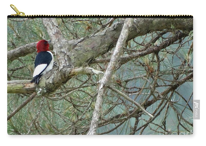 Woodpecker Zip Pouch featuring the photograph The Woodpecker by Joseph Baril