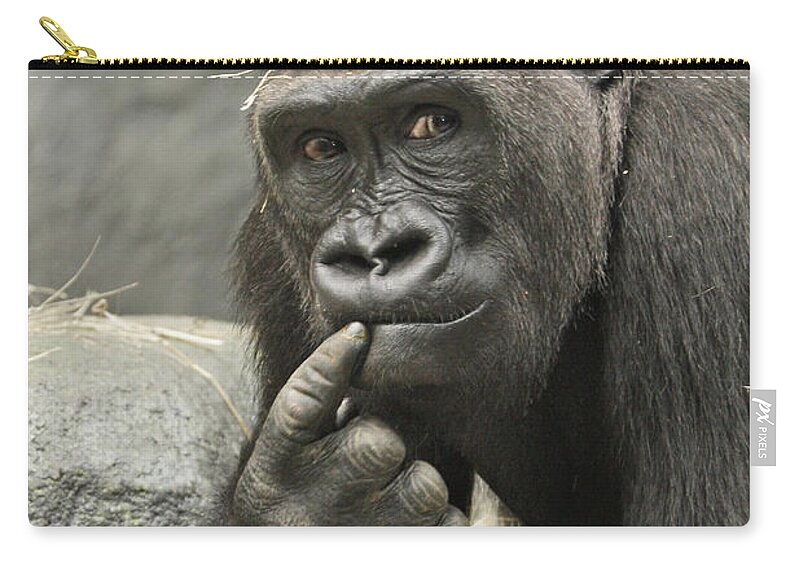 Gorilla Carry-all Pouch featuring the photograph Thinking It Over by Patty Colabuono