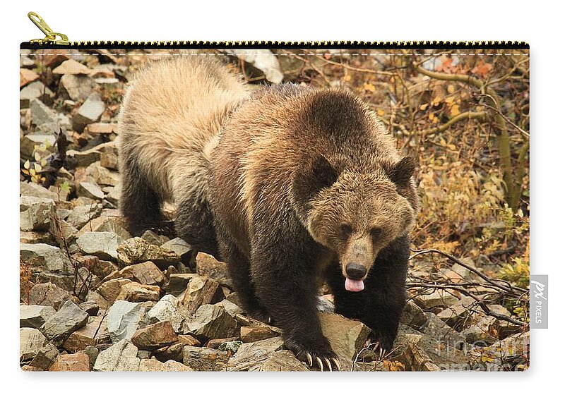 Grizzly Bear Zip Pouch featuring the photograph Thirsty by Adam Jewell