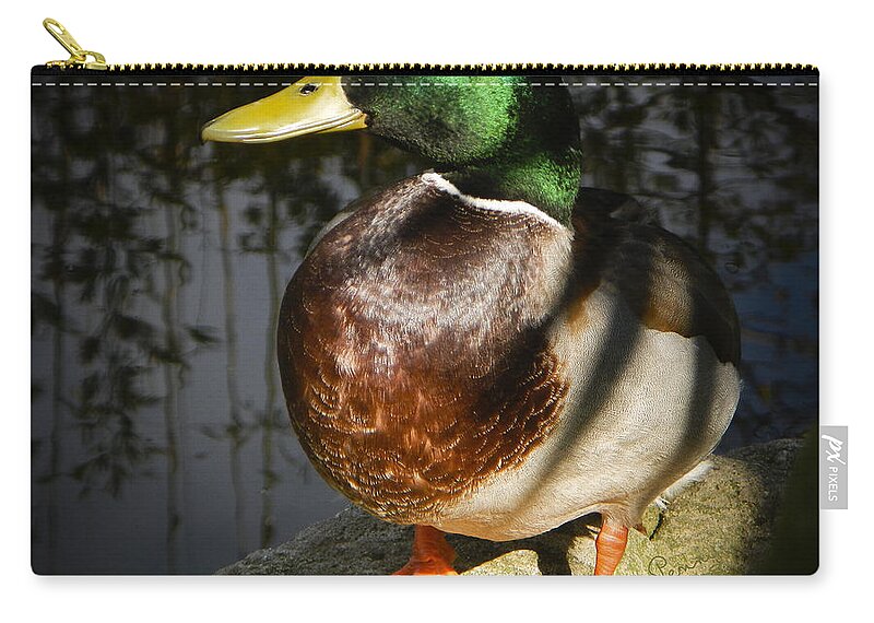  : Penny Lisowski Zip Pouch featuring the photograph This Is My Best Side by Penny Lisowski