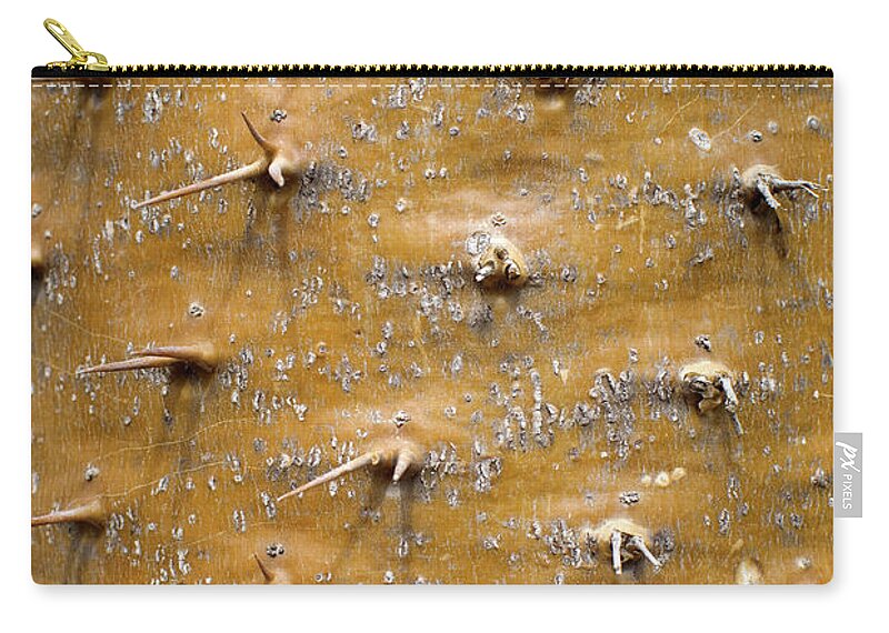 Needle Zip Pouch featuring the photograph Thorny Surface Of A Floss Silk Tree by Pete Starman