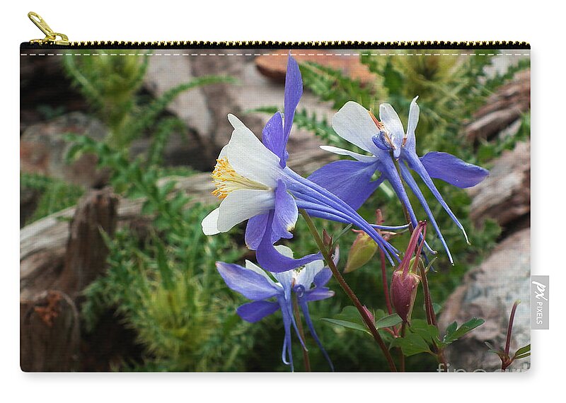 Columbine Zip Pouch featuring the photograph Three Columbine by Bon and Jim Fillpot