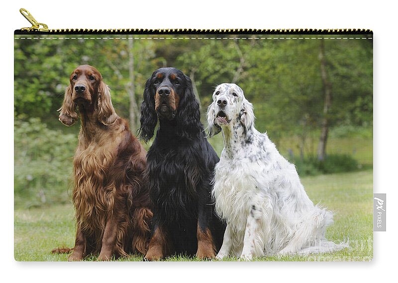 Dog Zip Pouch featuring the photograph Three Different Setters by John Daniels