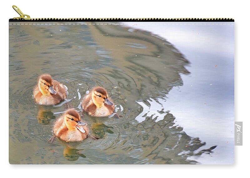 Shadow Zip Pouch featuring the photograph Three Ducklings Swimming In Lake by Juliak