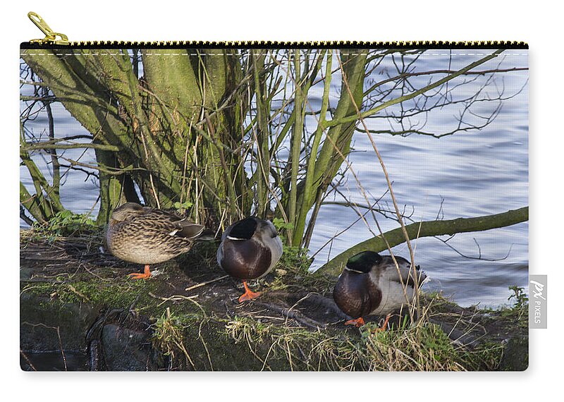  Duck Carry-all Pouch featuring the photograph Three In A Row by Spikey Mouse Photography