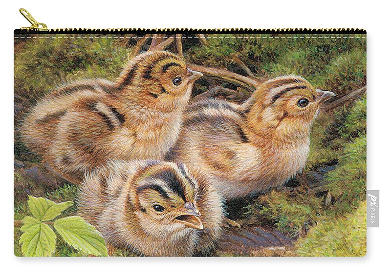 Animal Zip Pouch featuring the photograph Three Pheasant Chicks In Grass by Ikon Ikon Images