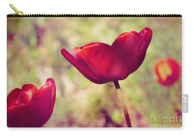 Tulips Zip Pouch featuring the photograph Three tulips by Silvia Ganora
