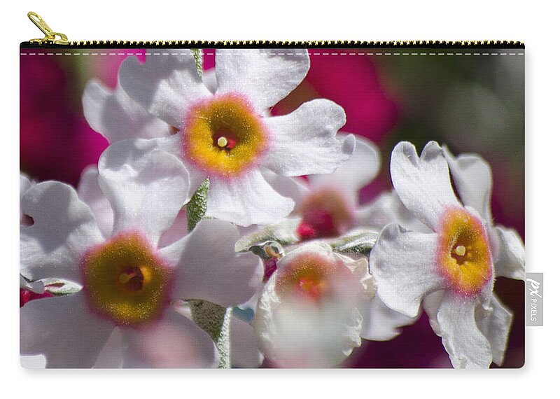 Flowers Carry-all Pouch featuring the photograph Three Yellow Faces by Spikey Mouse Photography