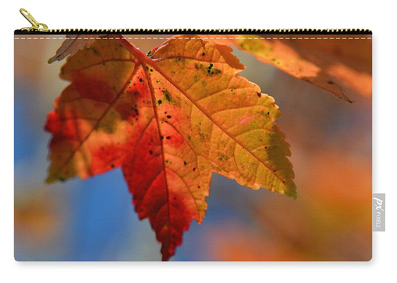 Autumn Zip Pouch featuring the photograph ...Through the Autumn Light by Melanie Moraga