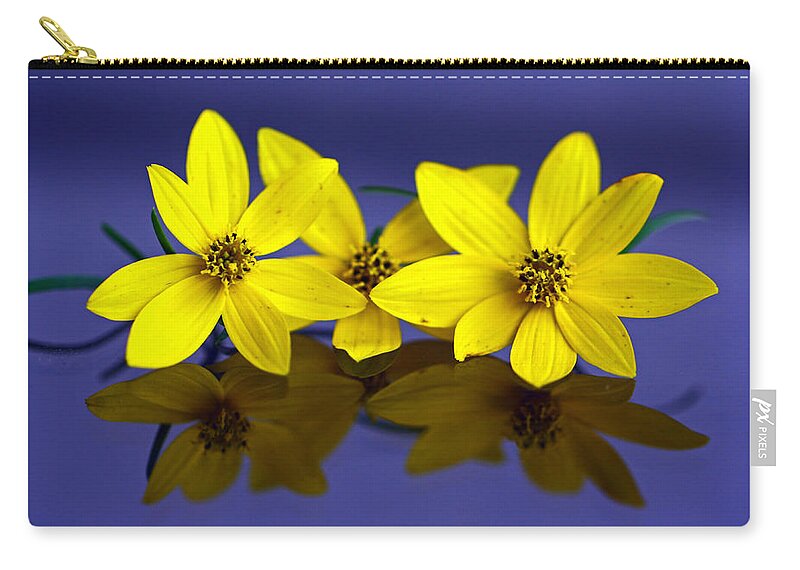 Tiny Yellow Flowers Zip Pouch featuring the photograph Tickseed Trio by Suzanne Stout