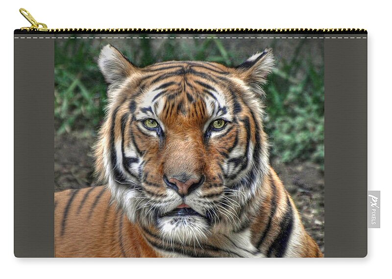 Tiger Zip Pouch featuring the photograph Tiger by Savannah Gibbs