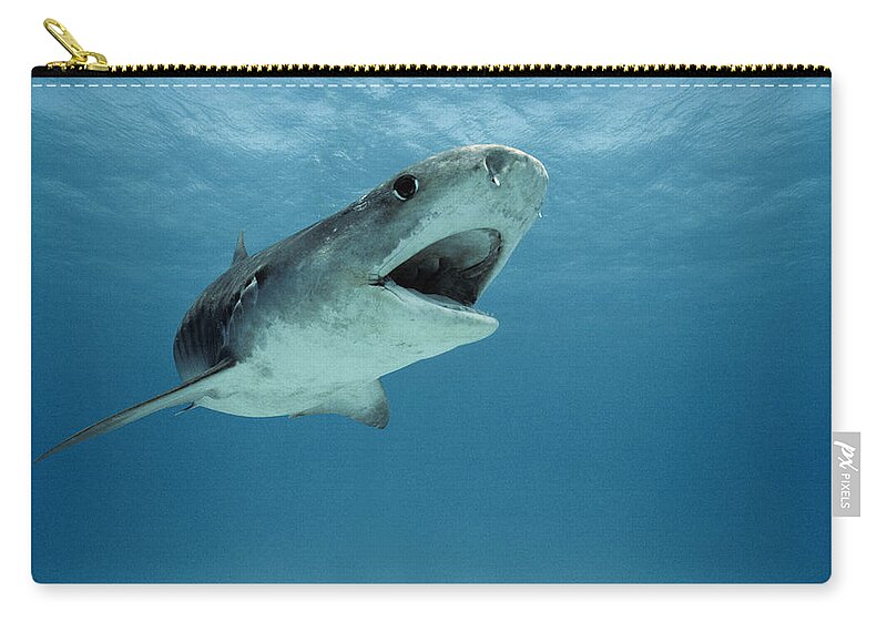 Tiger Shark Zip Pouch featuring the photograph Tiger Shark by Jeffrey Rotman