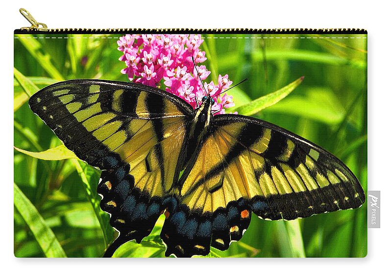 Macro Zip Pouch featuring the photograph Tiger Swallotail by Adam Olsen