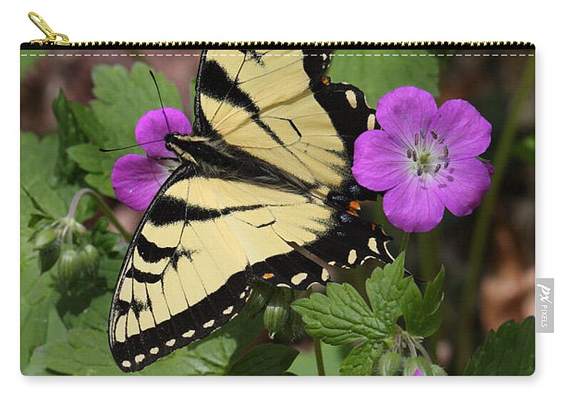 Tiger Swallowtail Butterfly On Geranium Zip Pouch featuring the photograph Tiger Swallowtail Butterfly On Geranium by Daniel Reed