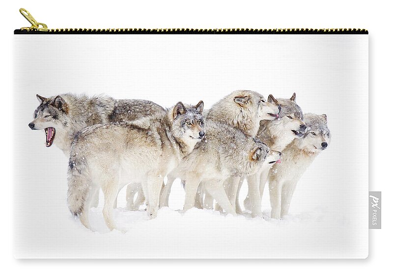Animal Themes Zip Pouch featuring the photograph Timber Wolf Family by Jim Cumming
