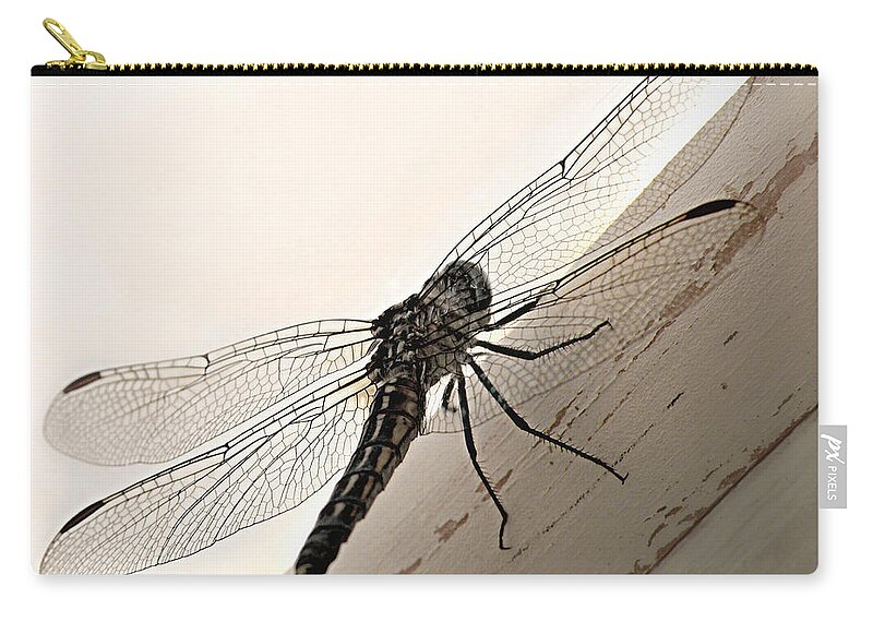 Tiny Magnificence Zip Pouch featuring the photograph Tiny Magnificence by Micki Findlay