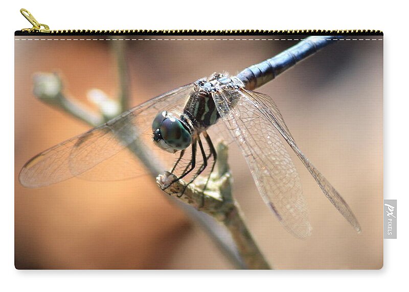 Dragonfly Zip Pouch featuring the photograph Tired Dragonfly Square by Carol Groenen