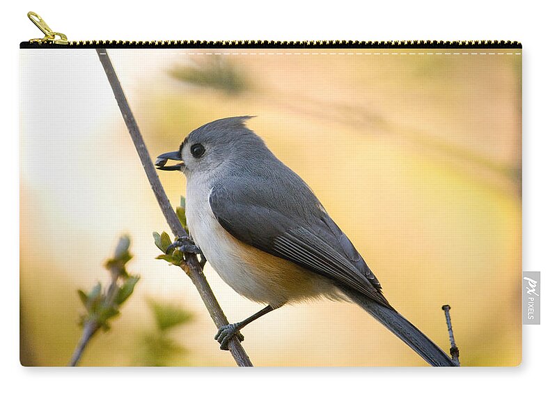 Titmouse Zip Pouch featuring the photograph Titmouse In Gold by Shane Holsclaw